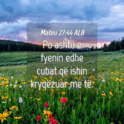 Picture 04 - Mateu 27:44 ALB - Po ashtu e fyenin edhe cubat që ishin kryqëzuar - Bible Verse Picture