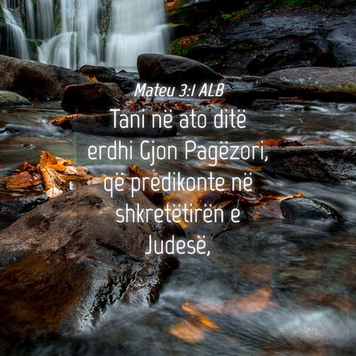 Picture 04 - Mateu 3:1 ALB - Tani në ato ditë erdhi Gjon Pagëzori, që - Bible Verse Picture