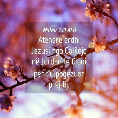 Picture 04 - Mateu 3:13 ALB - Atëherë erdhi Jezusi nga Galileja në Jordan te - Bible Verse Picture