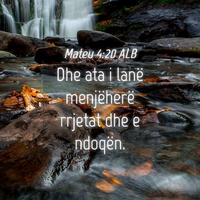 Picture 04 - Mateu 4:20 ALB - Dhe ata i lanë menjëherë rrjetat dhe e - Bible Verse Picture