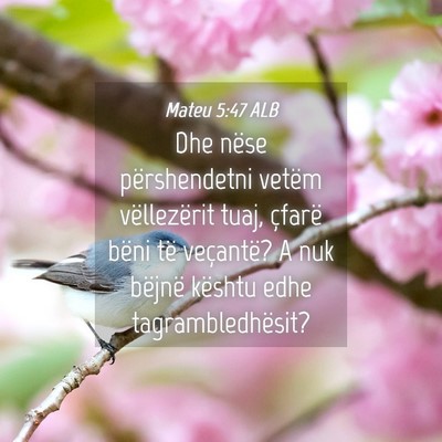 Picture 04 - Mateu 5:47 ALB - Dhe nëse përshendetni vetëm vëllezërit tuaj, - Bible Verse Picture