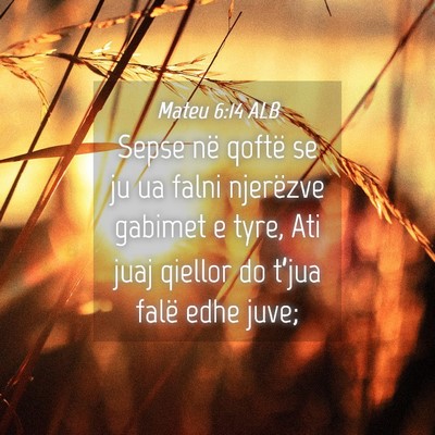 Picture 04 - Mateu 6:14 ALB - Sepse në qoftë se ju ua falni njerëzve gabimet - Bible Verse Picture