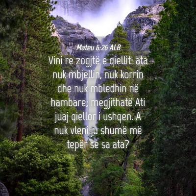 Picture 04 - Mateu 6:26 ALB - Vini re zogjtë e qiellit: ata nuk mbjellin, nuk - Bible Verse Picture