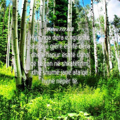 Picture 04 - Mateu 7:13 ALB - Hyni nga dera e ngushtë, sepse e gjërë është - Bible Verse Picture