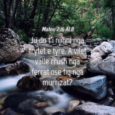 Picture 04 - Mateu 7:16 ALB - Ju do t’i njihni nga frytet e tyre. A vilet - Bible Verse Picture