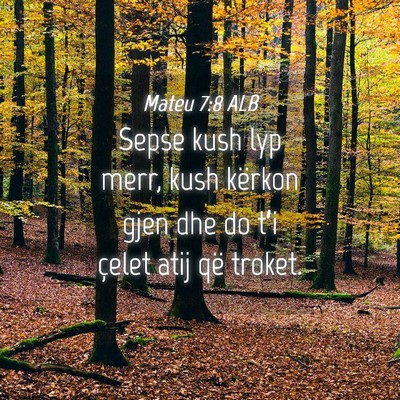 Picture 04 - Mateu 7:8 ALB - Sepse kush lyp merr, kush kërkon gjen dhe do - Bible Verse Picture