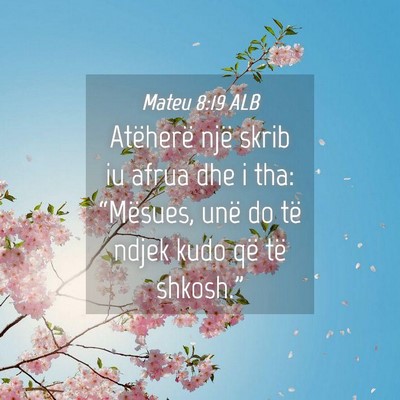 Picture 04 - Mateu 8:19 ALB - Atëherë një skrib iu afrua dhe i tha: - Bible Verse Picture