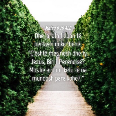 Picture 04 - Mateu 8:29 ALB - Dhe ja, ata filluan të bërtasin duke thënë: - Bible Verse Picture
