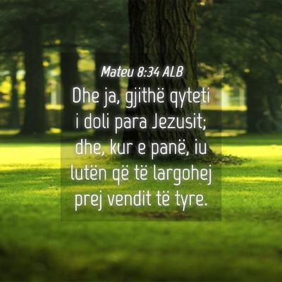 Picture 04 - Mateu 8:34 ALB - Dhe ja, gjithë qyteti i doli para Jezusit; dhe, - Bible Verse Picture