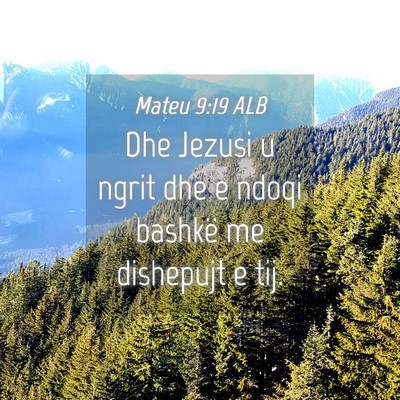 Picture 04 - Mateu 9:19 ALB - Dhe Jezusi u ngrit dhe e ndoqi bashkë me - Bible Verse Picture