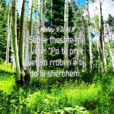 Picture 04 - Mateu 9:21 ALB - Sepse thoshte me vete: “Po të prek vetëm - Bible Verse Picture