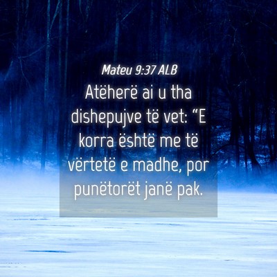 Picture 04 - Mateu 9:37 ALB - Atëherë ai u tha dishepujve të vet: “E korra - Bible Verse Picture