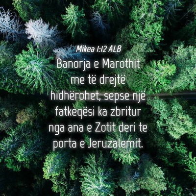 Picture 04 - Mikea 1:12 ALB - Banorja e Marothit me të drejtë hidhërohet, - Bible Verse Picture