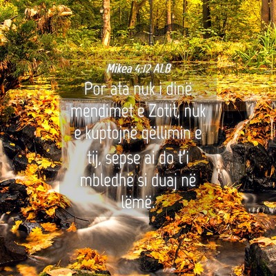 Picture 04 - Mikea 4:12 ALB - Por ata nuk i dinë mendimet e Zotit, nuk e - Bible Verse Picture