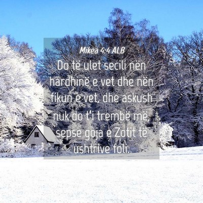 Picture 04 - Mikea 4:4 ALB - Do të ulet secili nën hardhinë e vet dhe nën - Bible Verse Picture