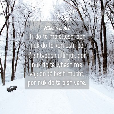 Picture 04 - Mikea 6:15 ALB - Ti do të mbjellësh, por nuk do të korrësh; do - Bible Verse Picture