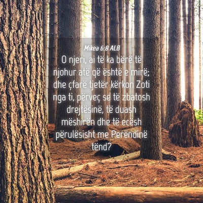 Picture 04 - Mikea 6:8 ALB - O njeri, ai të ka bërë të njohur atë që - Bible Verse Picture
