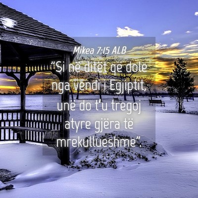 Picture 04 - Mikea 7:15 ALB - 