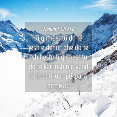 Picture 04 - Nahumi 3:11 ALB - Ti gjithashtu do të jesh e dehur dhe do të - Bible Verse Picture