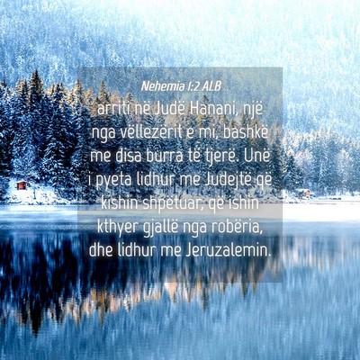 Picture 04 - Nehemia 1:2 ALB - arriti në Judë Hanani, një nga vëllezërit e - Bible Verse Picture