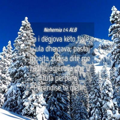 Picture 04 - Nehemia 1:4 ALB - Sa i dëgjova këto fjalë, u ula dhe qava; - Bible Verse Picture