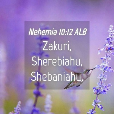 Picture 04 - Nehemia 10:12 ALB - Zakuri, Sherebiahu, - Bible Verse Picture