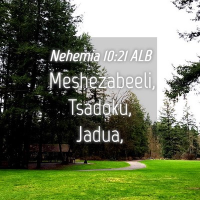 Picture 04 - Nehemia 10:21 ALB - Meshezabeeli, Tsadoku, - Bible Verse Picture