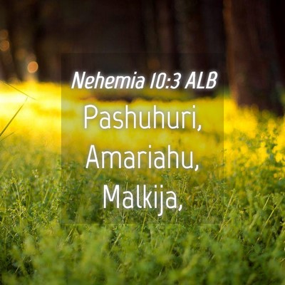 Picture 04 - Nehemia 10:3 ALB - Pashuhuri, Amariahu, - Bible Verse Picture