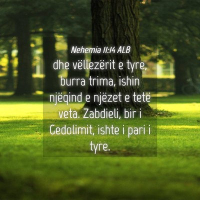Picture 04 - Nehemia 11:14 ALB - dhe vëllezërit e tyre, burra trima, ishin - Bible Verse Picture
