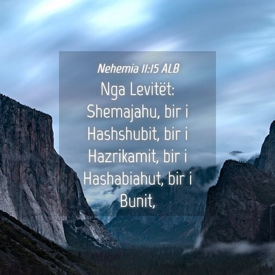 Picture 04 - Nehemia 11:15 ALB - Nga Levitët: Shemajahu, bir i Hashshubit, bir i - Bible Verse Picture