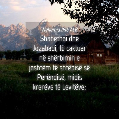 Picture 04 - Nehemia 11:16 ALB - Shabethai dhe Jozabadi, të caktuar në - Bible Verse Picture
