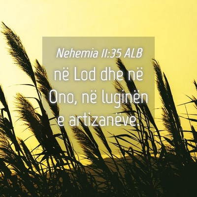 Picture 04 - Nehemia 11:35 ALB - në Lod dhe në Ono, në luginën e - Bible Verse Picture