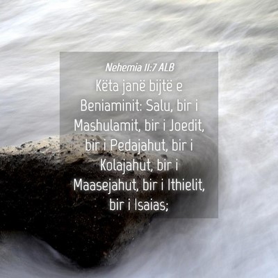 Picture 04 - Nehemia 11:7 ALB - Këta janë bijtë e Beniaminit: Salu, bir i - Bible Verse Picture