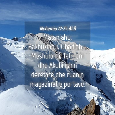Picture 04 - Nehemia 12:25 ALB - Mataniahu, Bakbukiahu, Obadiahu, Meshulami, - Bible Verse Picture