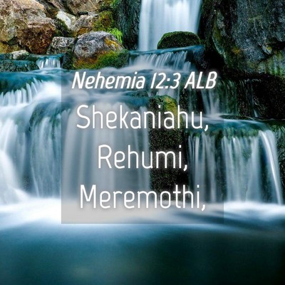 Picture 04 - Nehemia 12:3 ALB - Shekaniahu, Rehumi, - Bible Verse Picture