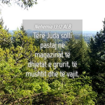 Picture 04 - Nehemia 13:12 ALB - Tërë Juda solli pastaj në magazinat të - Bible Verse Picture
