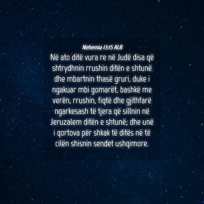 Picture 04 - Nehemia 13:15 ALB - Në ato ditë vura re në Judë disa që - Bible Verse Picture