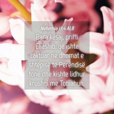 Picture 04 - Nehemia 13:4 ALB - Para kësaj, prifti Eliashib, që ishte caktuar - Bible Verse Picture