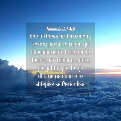Picture 04 - Nehemia 13:7 ALB - dhe u ktheva në Jeruzalem; kështu pashë të - Bible Verse Picture