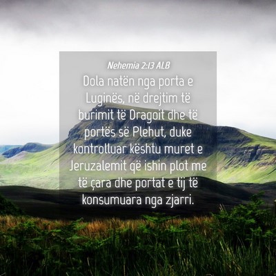 Picture 04 - Nehemia 2:13 ALB - Dola natën nga porta e Luginës, në drejtim të - Bible Verse Picture