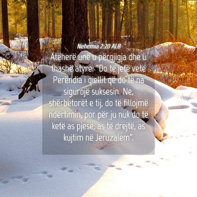 Picture 04 - Nehemia 2:20 ALB - Atëherë unë u përgjigja dhe u thashë atyre: - Bible Verse Picture