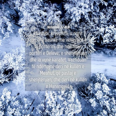Picture 04 - Nehemia 3:1 ALB - Eliashibi, kryeprifti, u ngrit atëherë bashkë - Bible Verse Picture