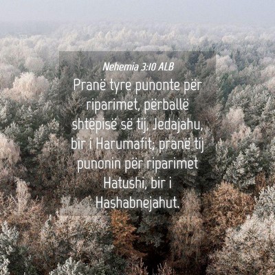 Picture 04 - Nehemia 3:10 ALB - Pranë tyre punonte për riparimet, përballë - Bible Verse Picture