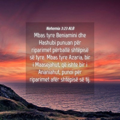 Picture 04 - Nehemia 3:23 ALB - Mbas tyre Beniamini dhe Hashubi punuan për - Bible Verse Picture