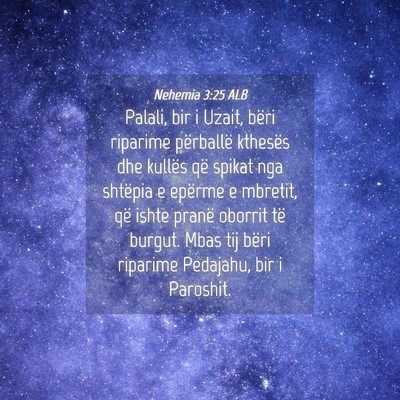 Picture 04 - Nehemia 3:25 ALB - Palali, bir i Uzait, bëri riparime përballë - Bible Verse Picture