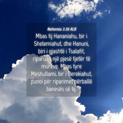 Picture 04 - Nehemia 3:30 ALB - Mbas tij Hananiahu, bir i Shelemiahut, dhe - Bible Verse Picture