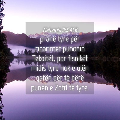 Picture 04 - Nehemia 3:5 ALB - pranë tyre për riparimet punonin Tekoitët; por - Bible Verse Picture