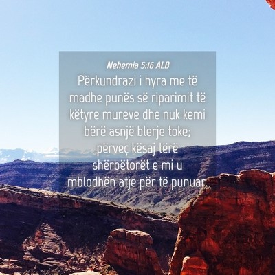 Picture 04 - Nehemia 5:16 ALB - Përkundrazi i hyra me të madhe punës së - Bible Verse Picture
