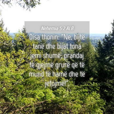 Picture 04 - Nehemia 5:2 ALB - Disa thonin: 