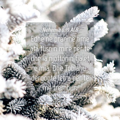 Picture 04 - Nehemia 6:19 ALB - Edhe në praninë time ata flisnin mirë për të - Bible Verse Picture